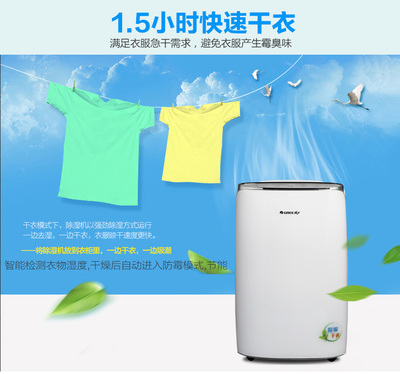 格力DH20EF 觸控除濕新體驗，20升大容量守護干爽生活